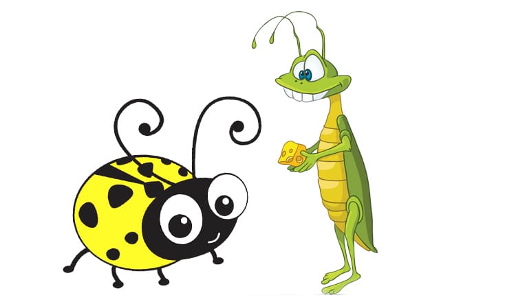 ladybird and locust in Lara the yellow ladybird story
