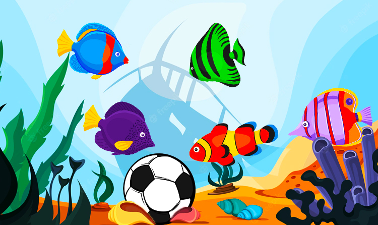 Fish’s soccer